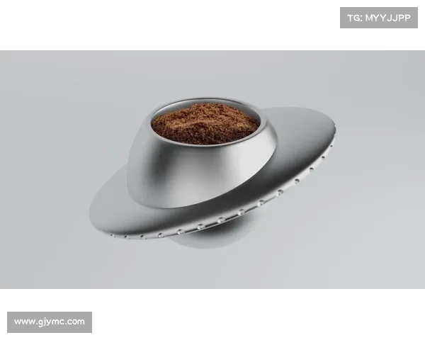 美国MUSE金奖设计项目精彩亮点与创新分析